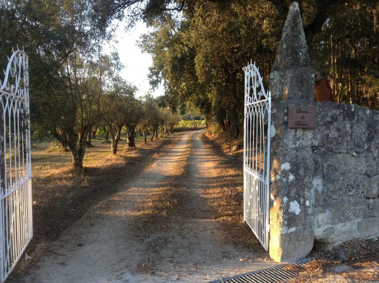 Quinta Do Bravio Villa Barroselas Dış mekan fotoğraf